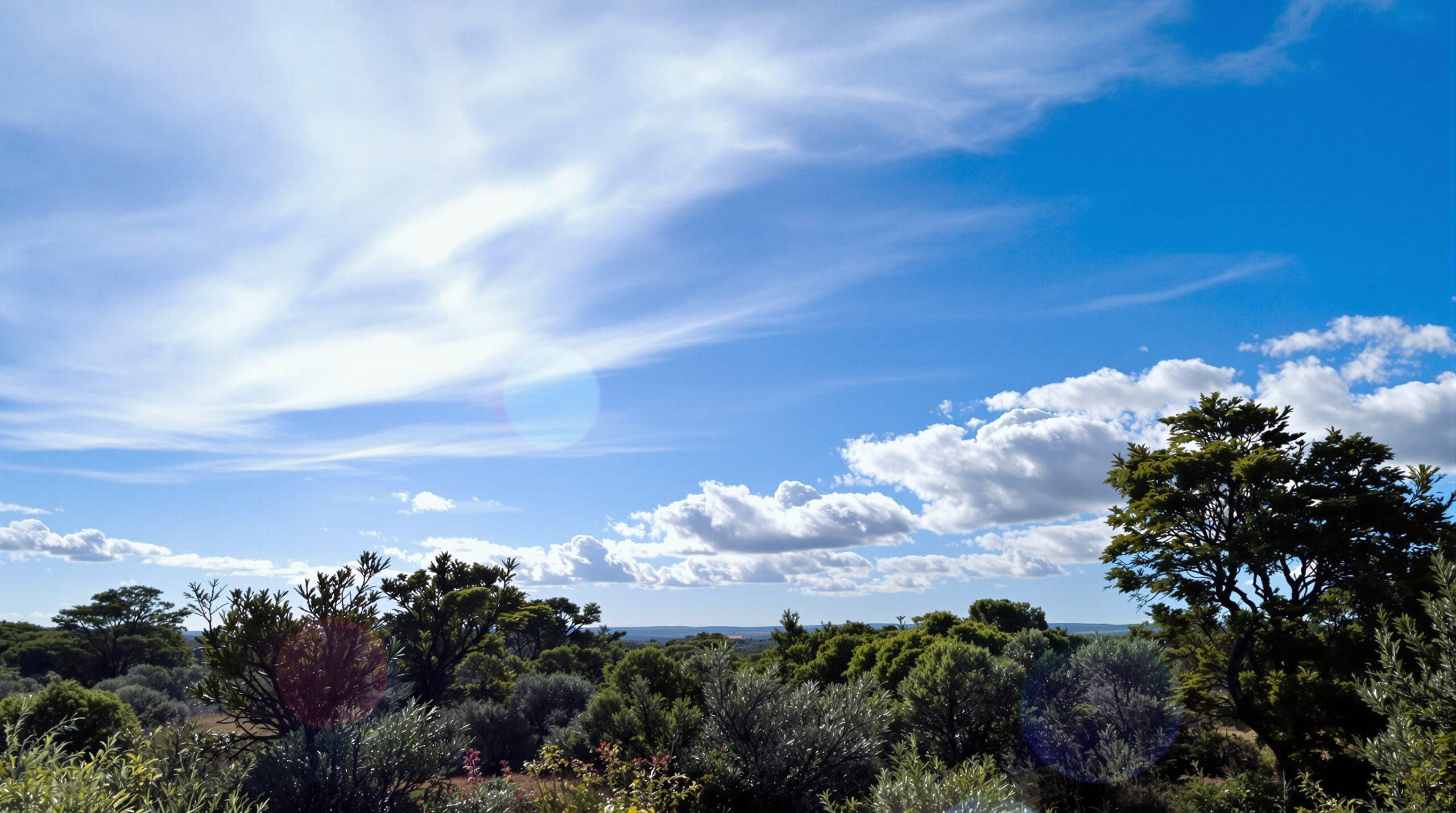 paysage-garrigue-ensoleill&eacute;