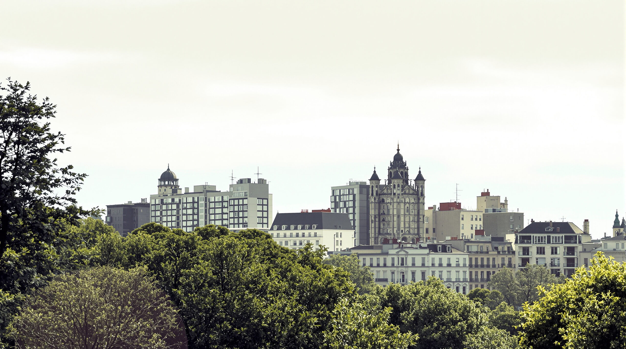 quartier_urbain_vu_depuis_parc