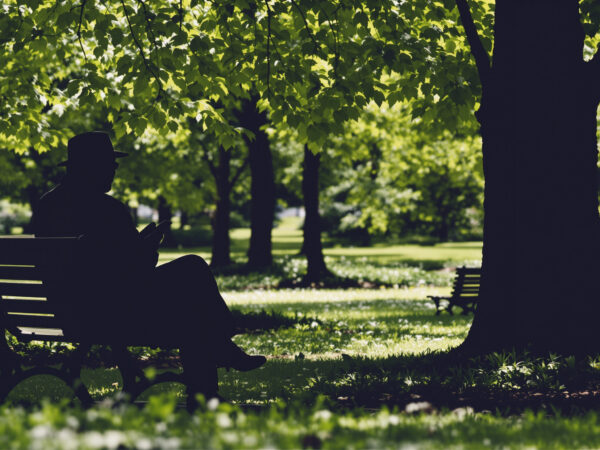 reflexion_retraite_parc