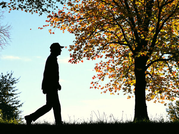 senior_marche_parc