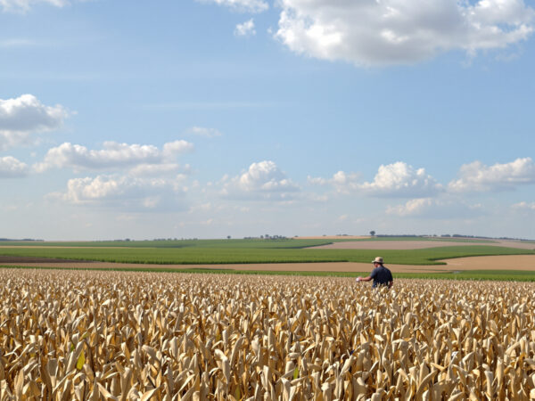 ferme-champ-ecologique-lumineux
