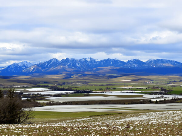matin&eacute;e_froide_massif_central