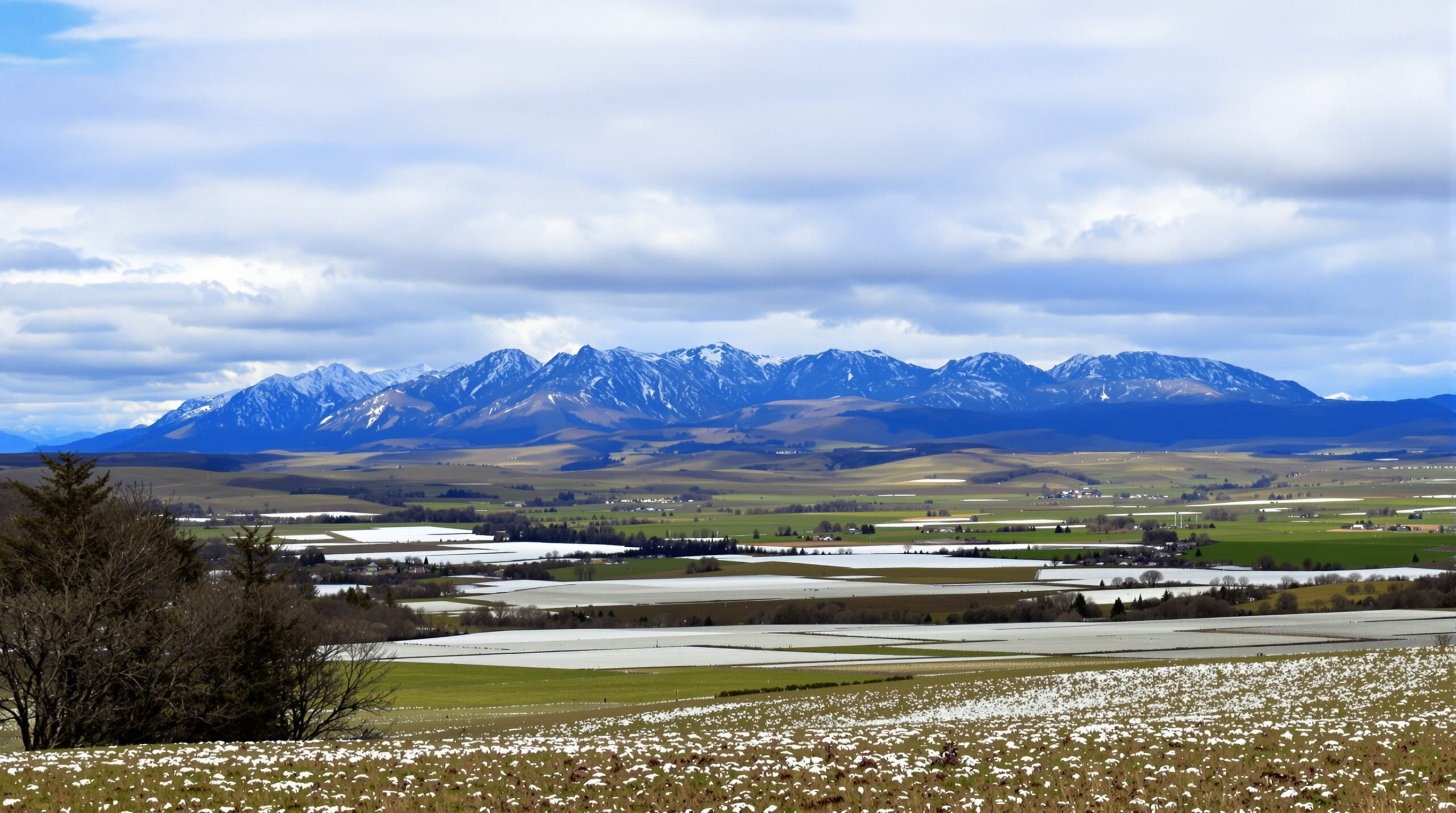 matin&eacute;e_froide_massif_central