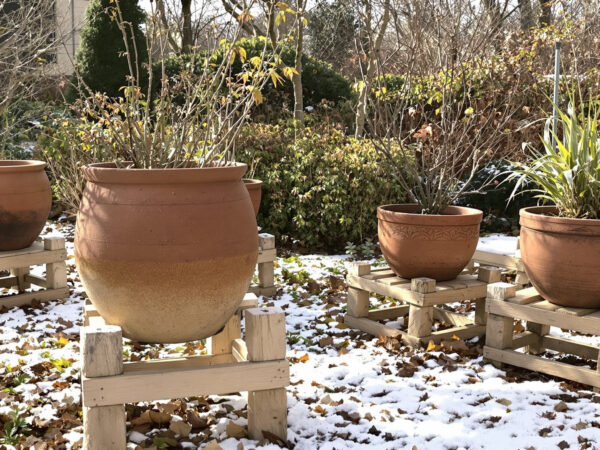 pots-terre-cuite-surelev&eacute;s-hiver
