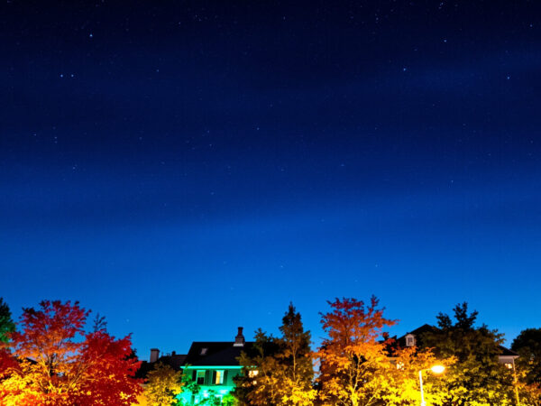 quartier_residentiel_automne