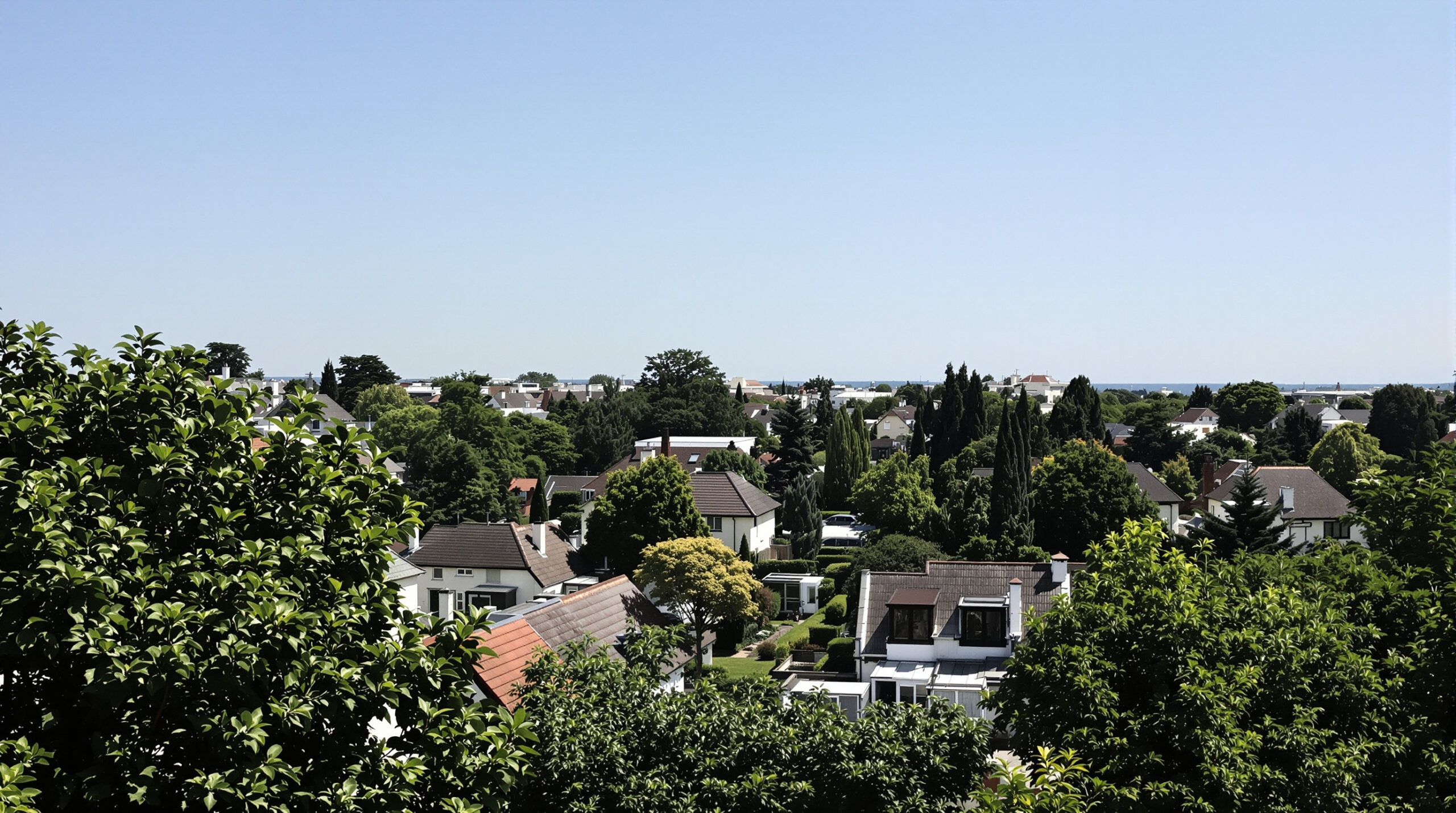 transmission_immobiliere