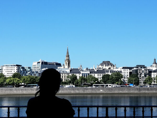 vue_bordeaux_immobilier